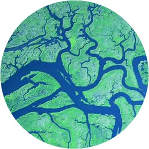 River delta - Landform