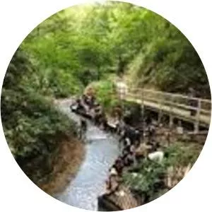 River Oyunuma Natural Footbath - 