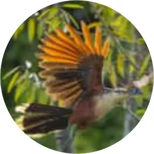 Rivers of Life - TV program