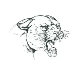 Riverside Beaver County School District - 