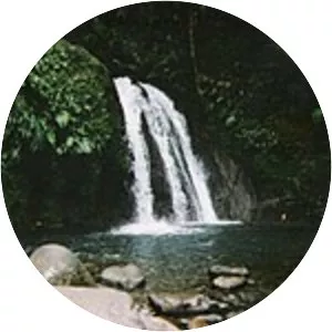 Rivière Corossol - River in Guadeloupe