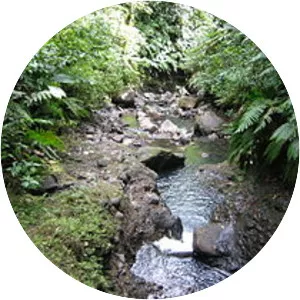 Rivière du Grand Carbet - River in Guadeloupe