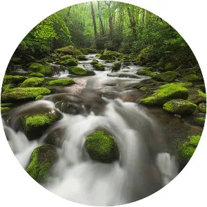 Roaring Fork - Stream in Tennessee