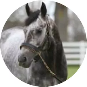 Roaring Lion Musician - Singer