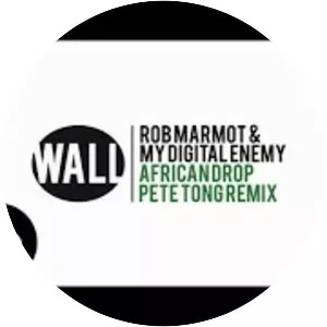 Rob Marmot - Musical artist