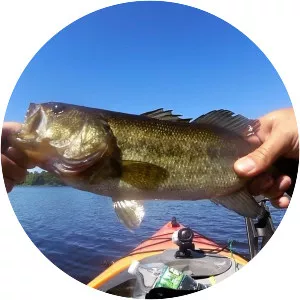 Robbins Pond - Pond in Massachusetts