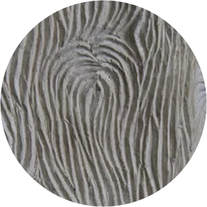 Robert Bridgewater - Visual artist