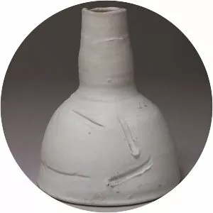 Robert Chapman Turner