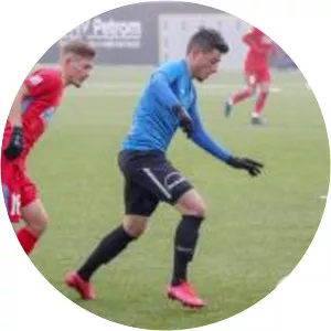 Robert Cristian Mustacă - Football player
