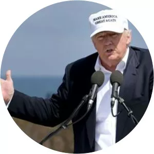 Robert Diclerico - Author