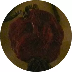 Robert, Duke of Bar photograph