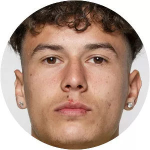 Robert Ljubicic - Austrian footballer