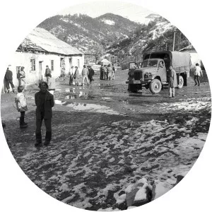 Robert Pichler - Author