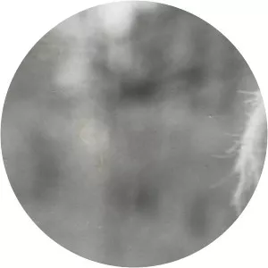 Robert Priestley - American set decorator