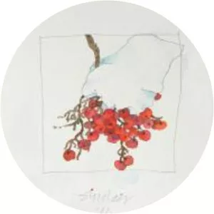 Robert Sinclair photograph