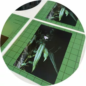 Robert Valera - Musical artist