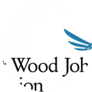 Robert Wood Johnson Foundation (. . . - Non-profit-making organization