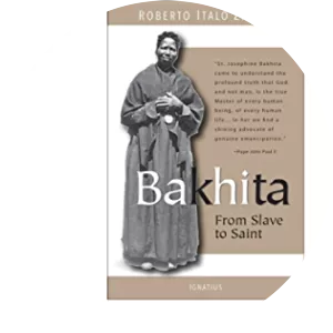 Roberto Italo Zanini