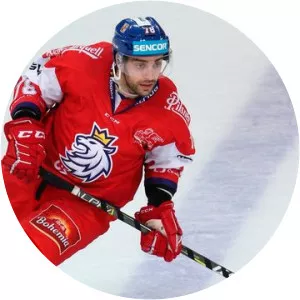 Robin Hanzl - Ice hockey forward