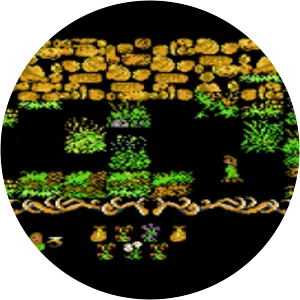 Robin of the Wood - Computer game