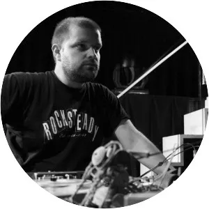 Robin the Fog - Musical artist