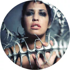 Robyn Chaos - Musical artist