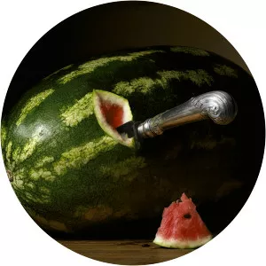 Robyn Stacey - Photographer