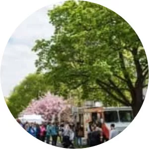 Rochester Lilac Festival - 