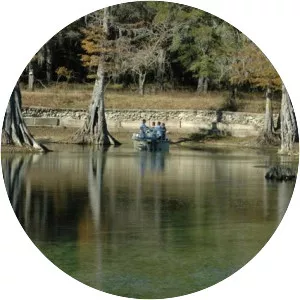 Rock Bluff Spring - Spring in Florida