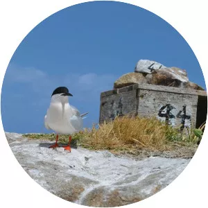 Rockabill