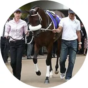 Rocket Man photograph