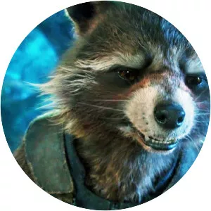 Rocket Raccoon photograph