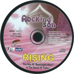 Rocking Son - Musical artist