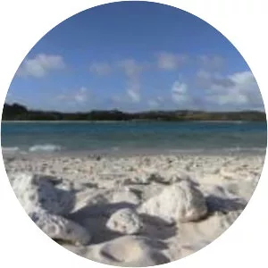 Rocky Mountain Institute - Non-profit organization