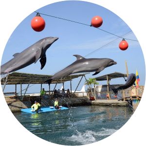 Rodadero sea aquarium and museum