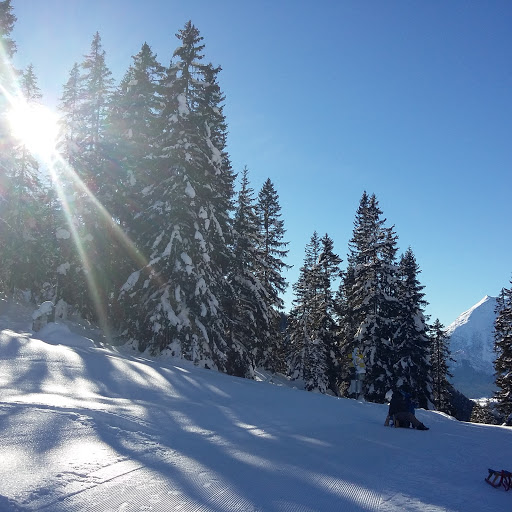 Rodelbahn Hoher Sattel - Start - Sports complex in Leutasch, Austria