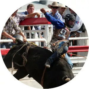 Rodeo: Life on the Circuit