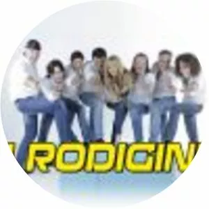 Rodigini