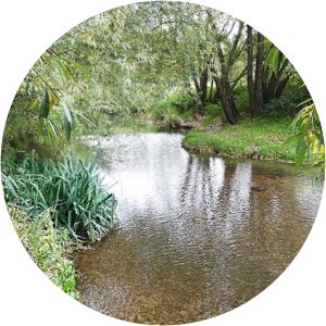 Roding Valley Meadows