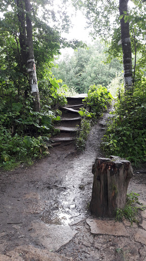 Rodnik U D.kikino - Nature preserve in Russia