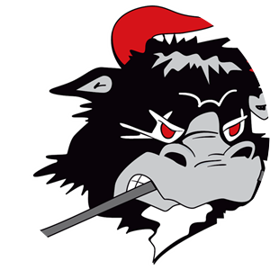 Rødovre Mighty Bulls - 