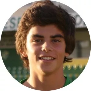 Rodrigo Pereira Martins Rodrigue