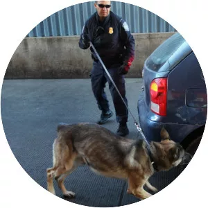 Rodriguez v. United States