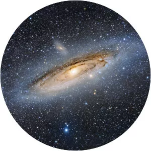 Rogelio Bernal Andreo