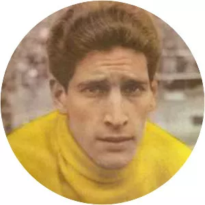 Rogelio Domínguez
