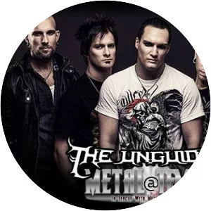 Roger Sjunnesson - Musical artist