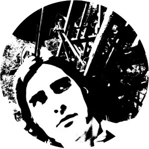 Roger Van Lunteren Musician