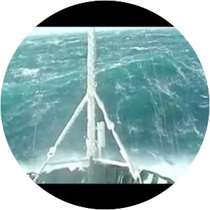 Rogue wave - Rock band