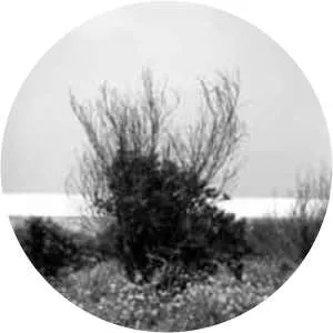 Roi Kuper - Israeli photographer