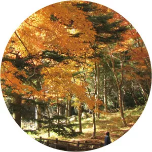 Rokko Alpine Botanical Garden